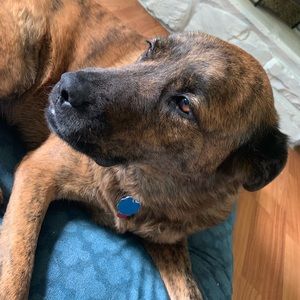 Meet your Posher, Bre